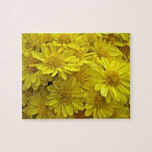 Sunshine Yellow Chrysanthema Puzzle