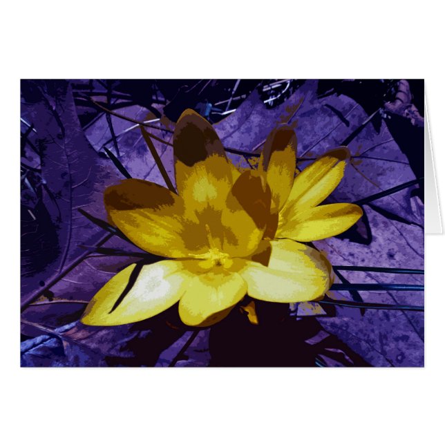 Sunshine Yellow Crocus (Vorderseite (Horizontal))