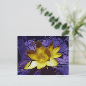 Sunshine Yellow Crocus Postkarte (Stehend Vorderseite)