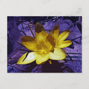 Sunshine Yellow Crocus Postkarte