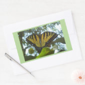 Sunshine Yellow Monarch Rechteckiger Aufkleber (Umschlag)