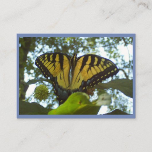 Sunshine Yellow Monarch Visitenkarte (Vorderseite)