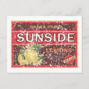 Sunside - Not Postkarte