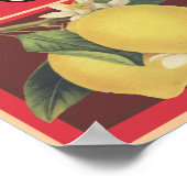 Sunside Poster (Ecke)