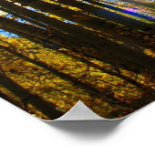 Sunstar Poster (Ecke)