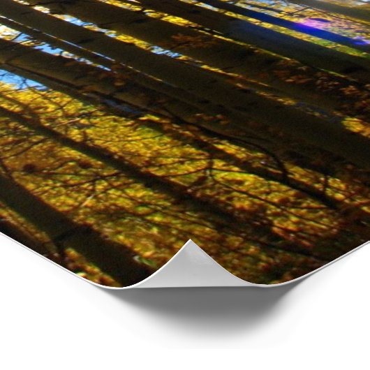 Sunstar Poster (Ecke)