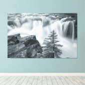 Sunwapta Falls bw Leinwanddruck (Insitu (Holzboden))