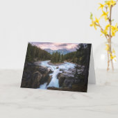 Sunwapta Falls | Jasper-Nationalpark Karte (Gelbe Blume)