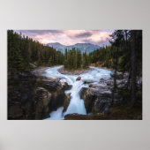 Sunwapta Falls | Jasper-Nationalpark Poster (Vorne)