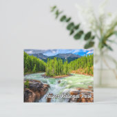 Sunwapta Falls, Jasper Nationalpark Postkarte (Stehend Vorderseite)