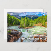 Sunwapta Falls, Jasper Nationalpark Postkarte (Vorne/Hinten)
