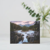 Sunwapta Falls | Jasper-Nationalpark Postkarte (Stehend Vorderseite)
