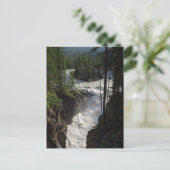 Sunwapta fällt im Jasper-Nationalpark Postkarte (Stehend Vorderseite)