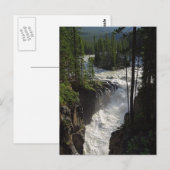 Sunwapta fällt im Jasper-Nationalpark Postkarte (Vorne/Hinten)