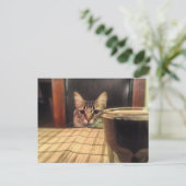 Sup Beer? Funny Spaß Kitty Cat Foto Fotografie Postkarte (Stehend Vorderseite)