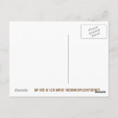 Sup Beer? Funny Spaß Kitty Cat Foto Fotografie Postkarte (Rückseite)