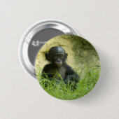 Sup? DArcy Evans Foto Button (Vorne & Hinten)