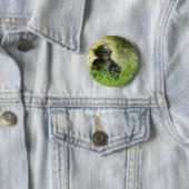 Sup? DArcy Evans Foto Button (Beispiel)