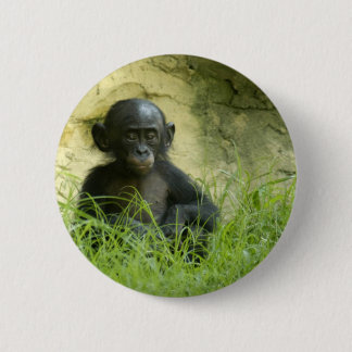 Sup? DArcy Evans Foto Button