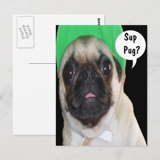 Sup Mops? Postkarte (Vorne/Hinten)