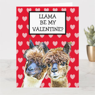 Super Big Llama bin mein Valentine? Ich liebe dich Karte
