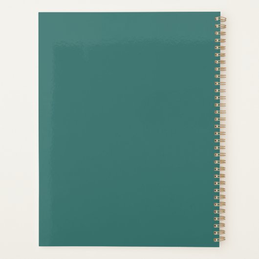 Super Bird Planer (Rückseite)