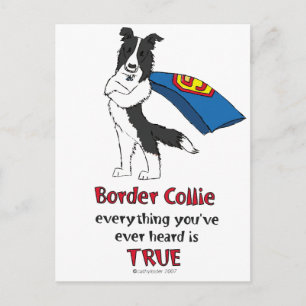 Super Border Collie Black Postkarte