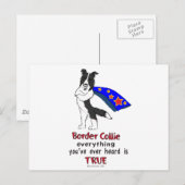 Super Border Collie schwarz Postkarte (Vorne/Hinten)
