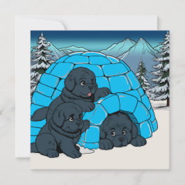 Super Chill Newfundland Welpe Feiertagskarte