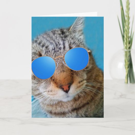 Super Cool Cat Birthday Karte (Vorderseite)