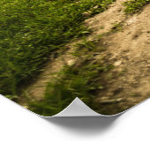 Super Cooles Vintages Thunderbird Automobil Poster (Ecke)