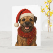 Super cute Border Terrier Christmas card Karte (Gelbe Blume)