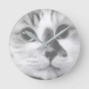 SUPER CUTE CAT CLOSEUP Porträt Fotograph Runde Wanduhr