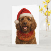 Super cute Cockerpoo Christmas card Karte (Gelbe Blume)