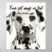 Super Cute, Puppy Dalmatian Dog Poster (Vorne)