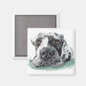 Super Dane aufgeklebt Merle Magnet (Vorderseite/Rückseite)