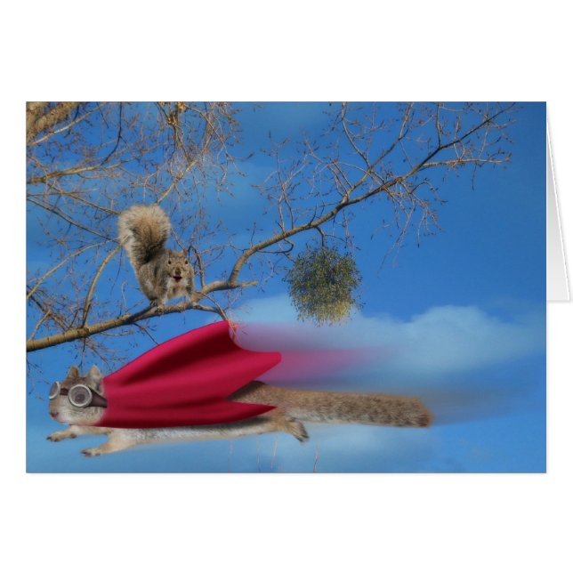 Super-Eichhörnchen fliegen (Vorderseite (Horizontal))