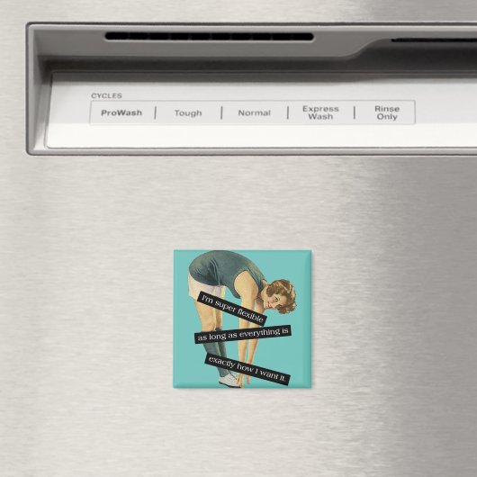 Super Flexible Funny Vintag Magnet (In Situ (Geschirrspüler))