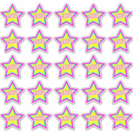 Super Fun Star Teacher Belohnung Kommentar-Aufkleb Aufkleber