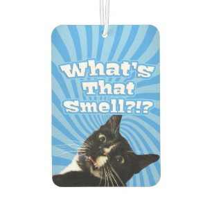 Super Funny Cat Autolufterfrischer