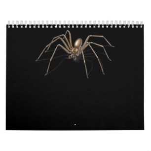 Super Funny Scary Spider Halloween Kostüme Kalender