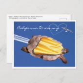 Super! Gammie der kalifornischen Wüste Tortoise Postkarte (Vorne/Hinten)