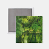 Super Green River / Lake Tree Reflection Magnet (Vorderseite/Rückseite)