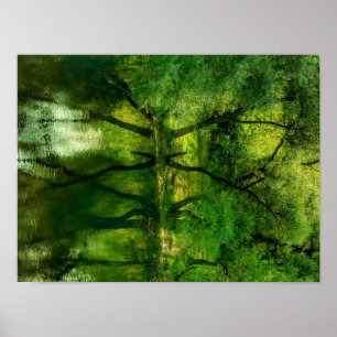 Super Green River Tree Reflektion A3 Poster