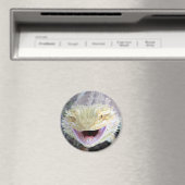 Super Happy Bartded Dragon Magnet (In Situ (Geschirrspüler))