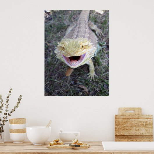 Super Happy Bearded Dragon Poster (Küche)