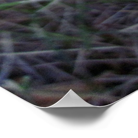 Super Happy Bearded Dragon Poster (Ecke)