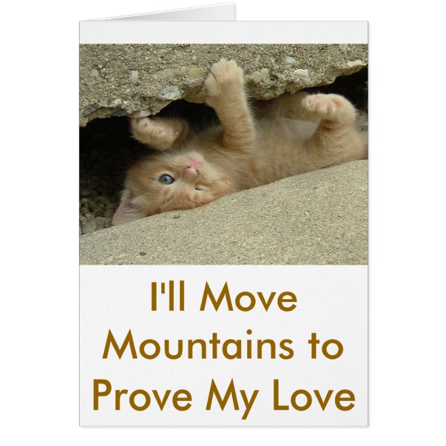 Super Hero Kitty Cat (Vorne)