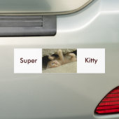 Super Hero Kitty Cat Autoaufkleber (Auf Auto)