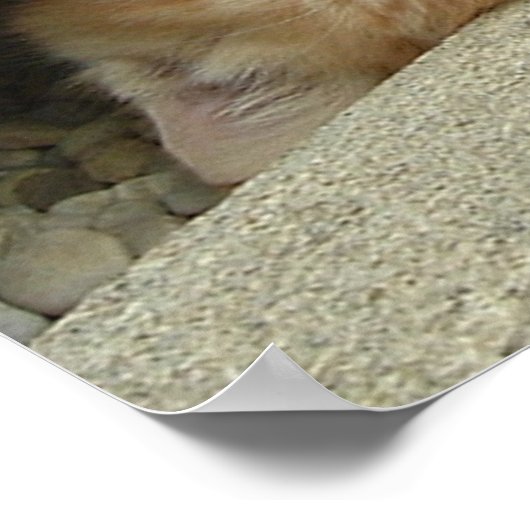 Super Hero Kitty Cat Spaß Poster (Ecke)